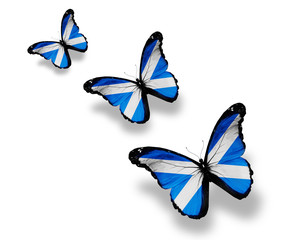 Three Scottish flag butterflies, isolated on white