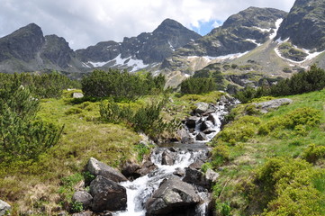 Fototapeta na wymiar Górski krajobraz z strumienia poziomo