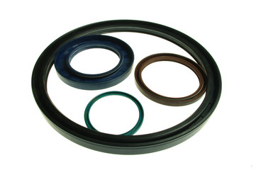 Oil Seals 1