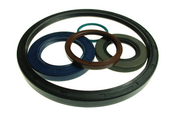 Oil Seals 2