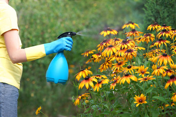 Obraz premium Gardening - spraying plants