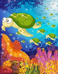 Fotobehang schildpad in het water © GraphicsRF