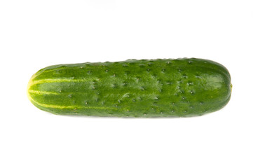 Fresh green Cucumber
