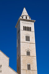Cathedral of Trani. Puglia. Italy.