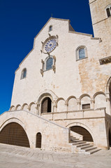 Fototapeta na wymiar Katedra w Trani. Puglia. Włochy.