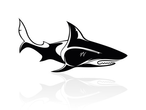 The vector image of a shark, orca, logo, sign