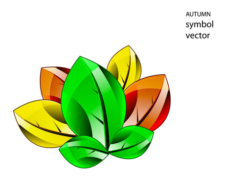 Autumn symbol leaf