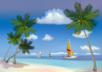 Fototapeta na wymiar Morze, jachty, palmy.