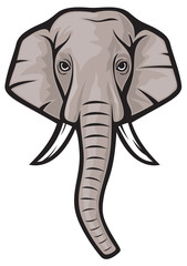 elephant head
