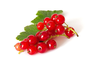 Johannisbeeren