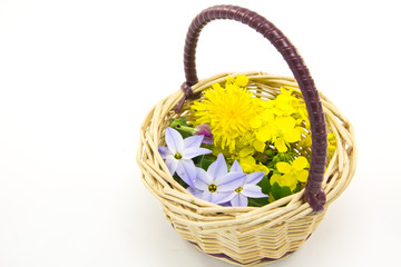 Flower Basket