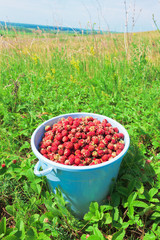 Full bucket of strawberry