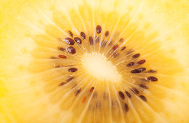 yellow kiwi closeup