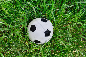 Obraz premium soccer ball on green grass