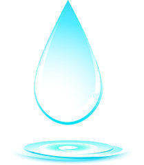 isolated water drop on white background