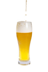 Beer isolated on white background