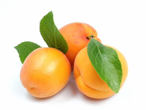 4 260 Best Abricot Images Stock Photos Vectors Adobe Stock