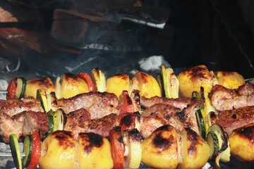 Barbecues (Shashlik)