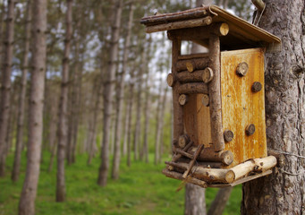 bird feeder in a wooden house in the garden