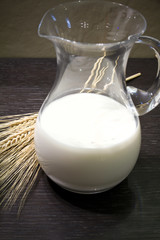 Milk in the pitcher and corn ears on teak wood