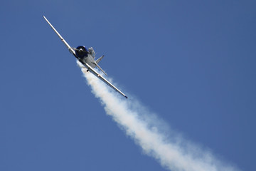 Flugzeug auf Flugshow