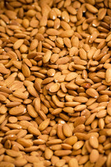 Background of nuts