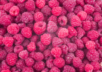 Red fresh raspberry background