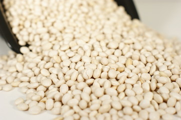 White beans on a black plate - Close up