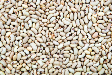 Kidney beans