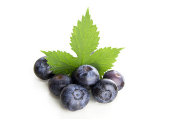 blaubeeren