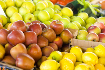 fresh fruit market