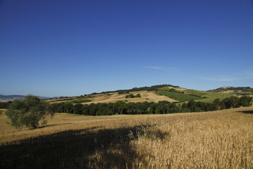 Obraz premium Siena, Val d'Orcia