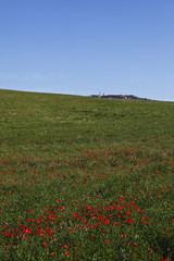 Siena, Val d'Orcia
