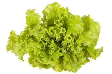 Lettuce salad.