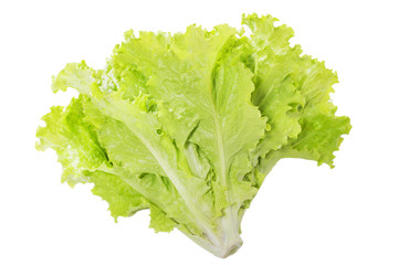 Lettuce salad.