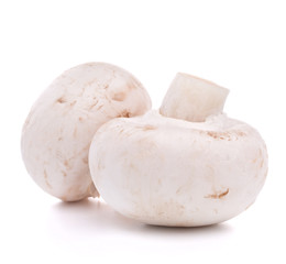 Champignon mushroom