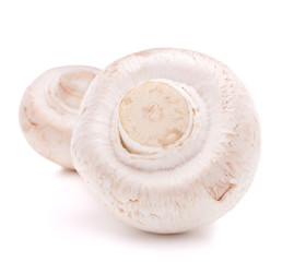 Champignon mushroom