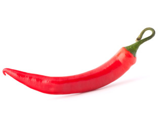 Hot red chili or chilli  pepper