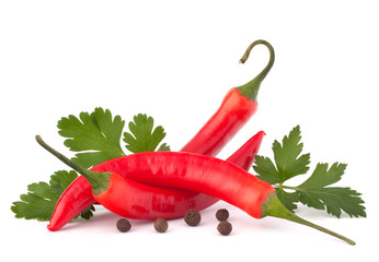 Hot red chili or chilli pepper and parsley leaves still life