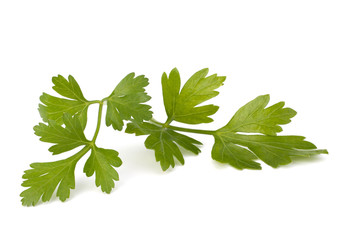 parsley