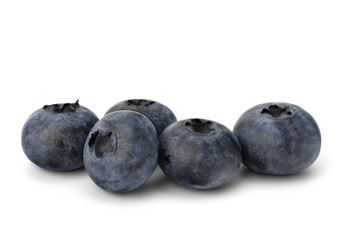 Bilberries or whortleberries cutout