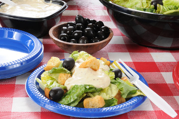 Plate of green salad