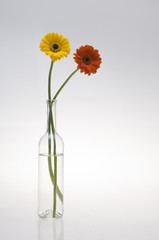 Obraz premium Blumen mit Vase