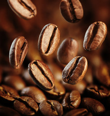 Fototapeta premium Fall Coffee Bean