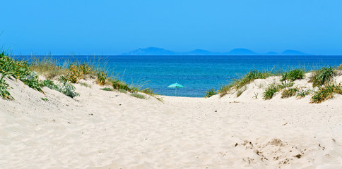 Fototapeta premium umbrella and dunes