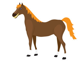 Cartoon Horse Stands