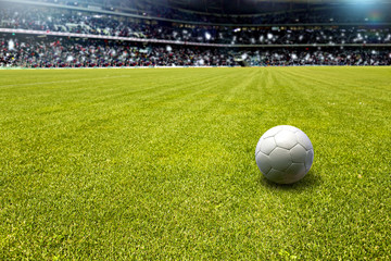 soccer field