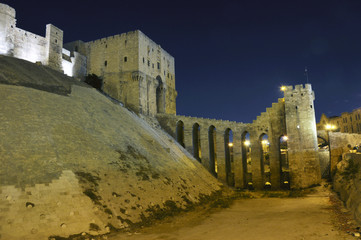 Citadel