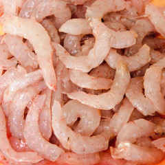 prawns
