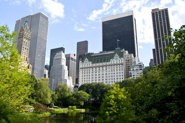 New York buildings from Central park